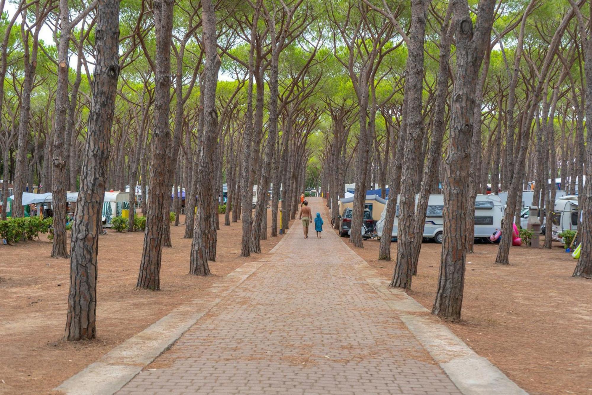 Camping Village Baia Blu La Tortuga Aglientu Exteriör bild